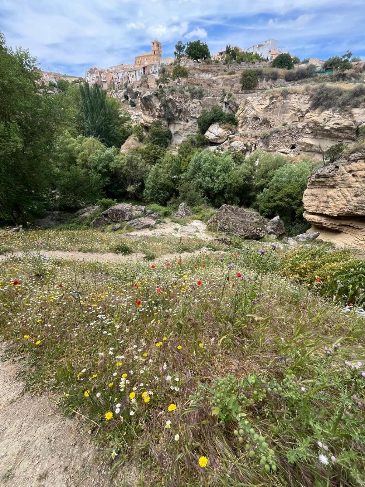 Alojamiento La Escalera Alhama de Granada Zewnętrze zdjęcie